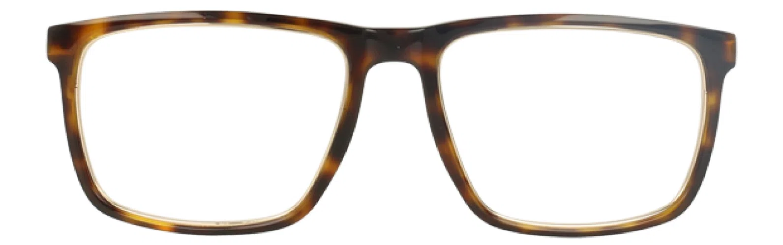 Mr Turk MTVITTONE Eyeglasses - view 4